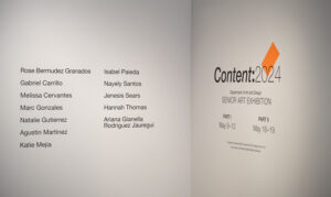 Content 2024 Artist List