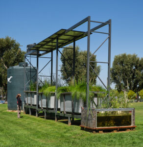 Brackish Water Installation View
