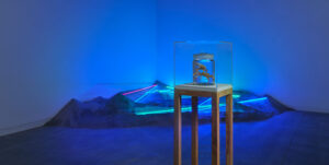 Brackish Water Installation View