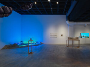 Brackish Water Installation View