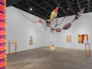 Brackish Water Installation View