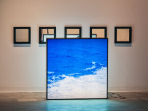 Brackish Water Installation View