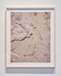 Brackish Water Installation View