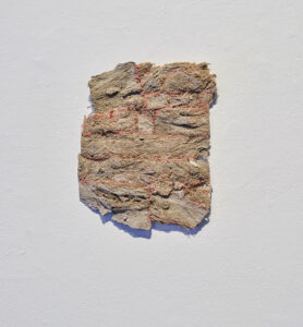 Brackish Water Installation View