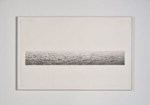 Brackish Water Installation View