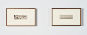 Brackish Water Installation View
