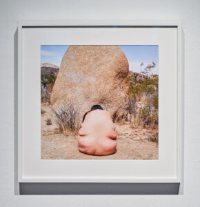 Brackish Water Installation View
