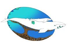 Whale logo