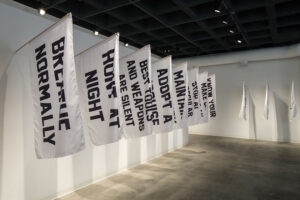 White Flags Installation View